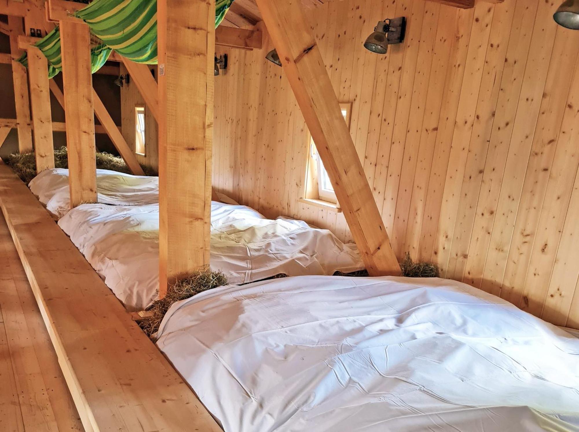 Familien- Und Apartmenthotel Lerchenberghof Walddorf  Rum bild